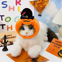 Pumpkin Hat